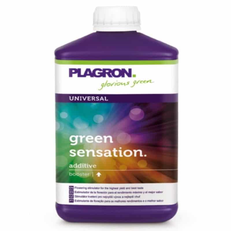 Une image du Green Sensation de Plagron, un complément alimentaire pour les plantes, présentant l'emballage du produit et son importance dans l'amélioration de la phase de floraison et du développement général de la plante.