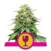 Royal Queen Seeds Critical - Une variété de cannabis puissante avec une génétique royale. Découvrez les caractéristiques uniques de Royal Queen Seeds Critical.