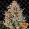 Bubba Kush - Une variété de cannabis populaire et puissante aux propriétés relaxantes. Profitez de l'expérience caractéristique de Bubba Kush avec cette variété de haute qualité.