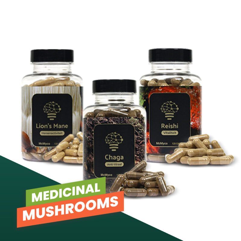 Champignons médicinaux